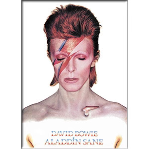 Rock and Roll Collectibles - David Bowie Aladdin Sane Magnet