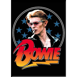 Rock and Roll Collectibles - David Bowie Magnet