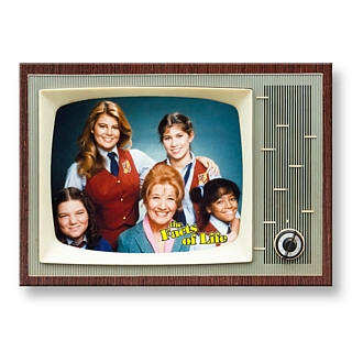 Television from the 1970's and 1980's Collectibles - Facts of Life Metal TV Magnet