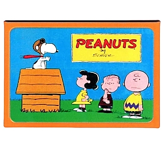 Snoopy and Peanuts Collectibles - Peanuts Metal Magnet with Vintage Lunchox Graphic