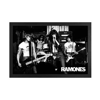Punk Rock Characters - Ramones Live Gel Coated Canvas Print Wall Art