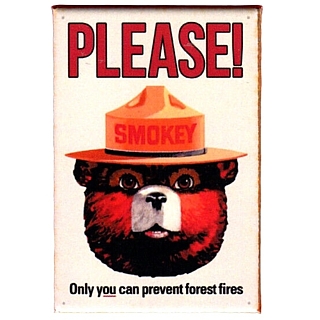 Smokey The Bear - U.S. Forest Service - Smokey the Bear Please! Only you can prevent forest fires Metal Fridge or Locker Magnet