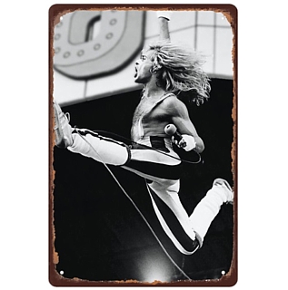 Rock and Roll Collectibles - Van Halen David Lee Roth Live on Stage Metal Tin Sign