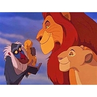 Cartoon characters Disney Lion King Simba Mufasa Scar Nala Pumbaa Timon Rafiki Ed