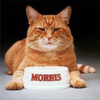 Advertising characters 9Lives Morris the Cat