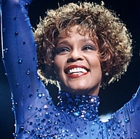 POP Music Collectibles Whitney Houston