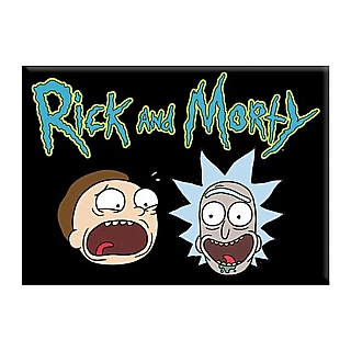 Adult Swim Cartoon Collectibles Rick and Morty Large Metal Magnet